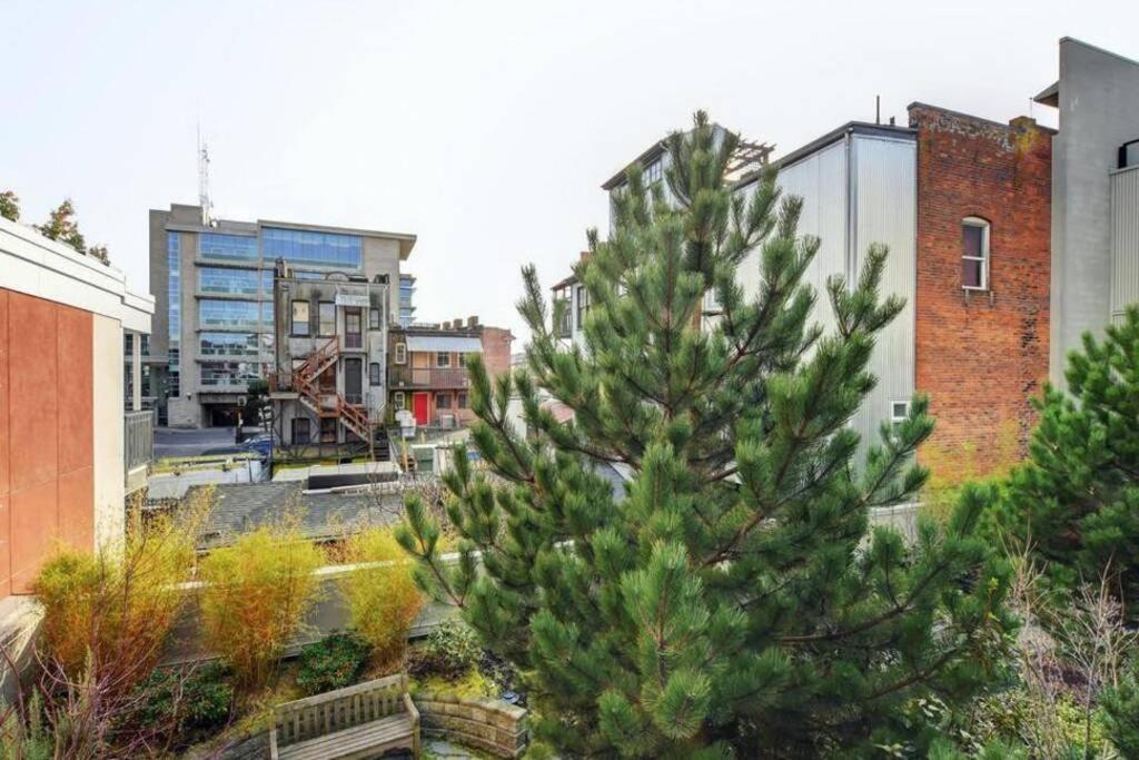 Clean 3Rd Floor Executive 1 Bedroom Apt In Old Town China Town Victoria Bagian luar foto