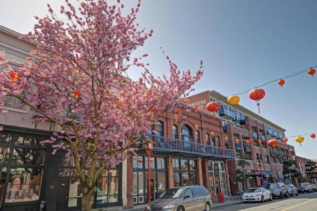 Clean 3Rd Floor Executive 1 Bedroom Apt In Old Town China Town Victoria Bagian luar foto
